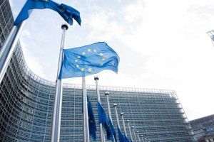 Realizări ale echipei de proiect PROASIG - Promovarea dialogului pentru ocupare şi formare în asigurări”, lansat de către Patronatul Industriei Asigurărilor din România şi Federaţia Sindicatelor din Asigurari şi Bănci în octombrie 2025